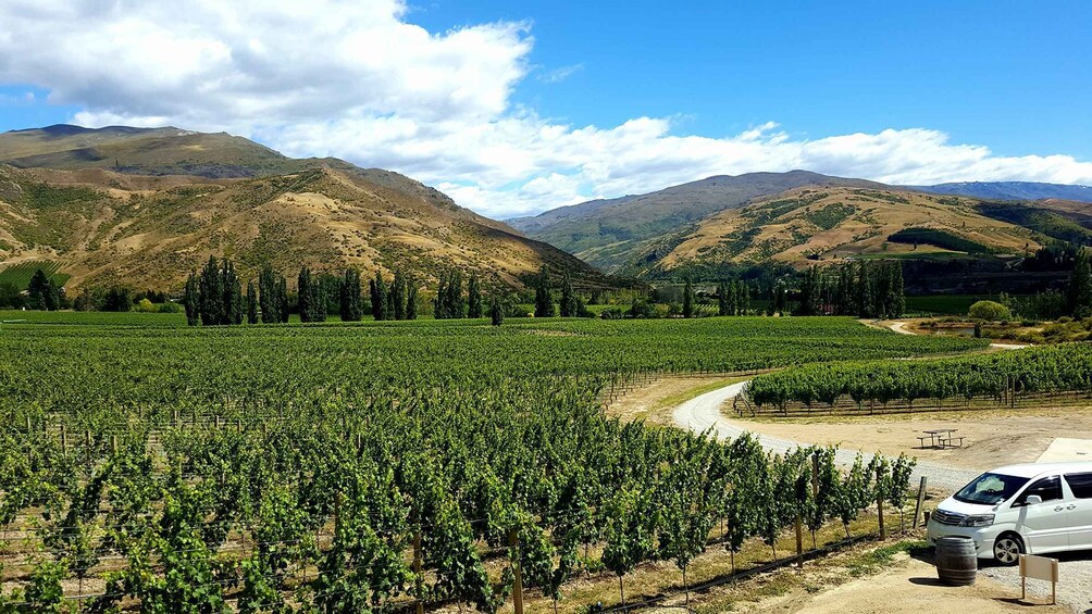 Boutique Wine Tour in Central Otago with Sommelier guide