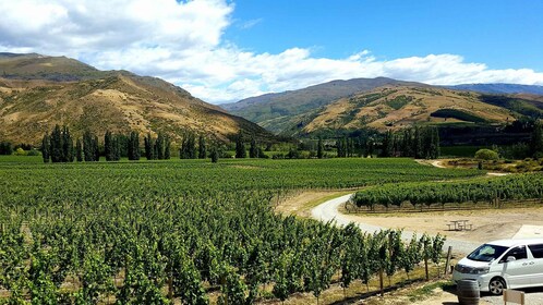 Boutique Wine Tour i Central Otago med sommelier-guide