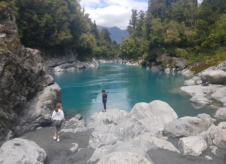 Picture 6 for Activity Greymouth: Hokitika Gorge and Tree Top Walkway Half-Day Tour