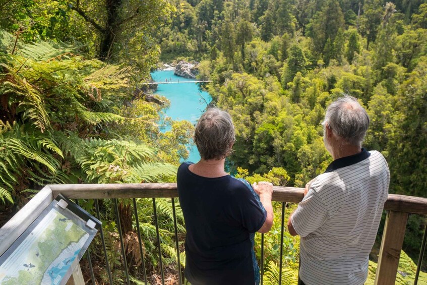 Picture 2 for Activity Greymouth: Hokitika Gorge and Tree Top Walkway Half-Day Tour