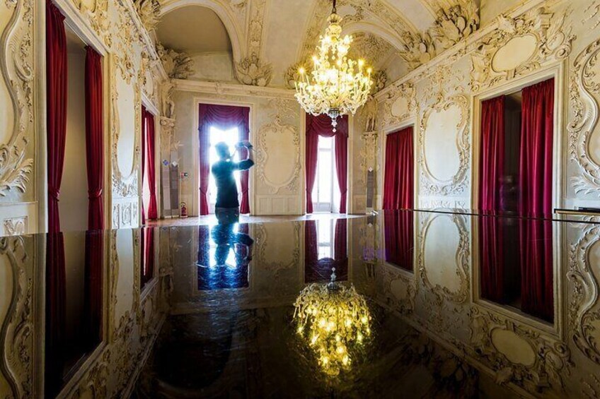 Turin: Reggia di Venaria Guided Tour