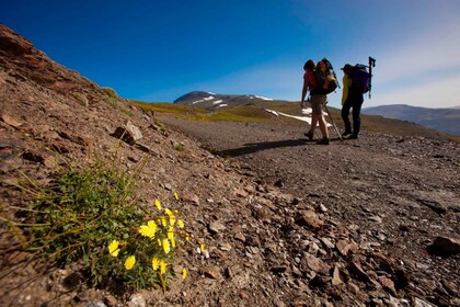 Climb Mulhacen Iberian Highest Peak(Private guiding)