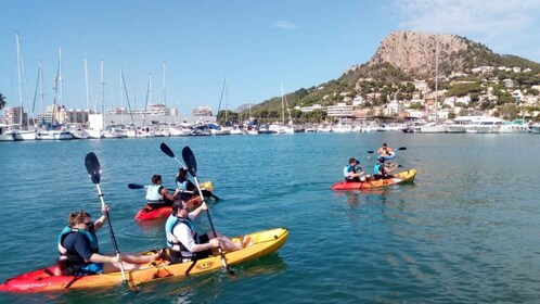 Desde L'Estartit: tour en kayak de mar a las Islas Medas