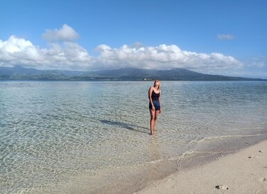 Dumaguete: Dolphin Watching & Manjuyod Sandbar Private Tour