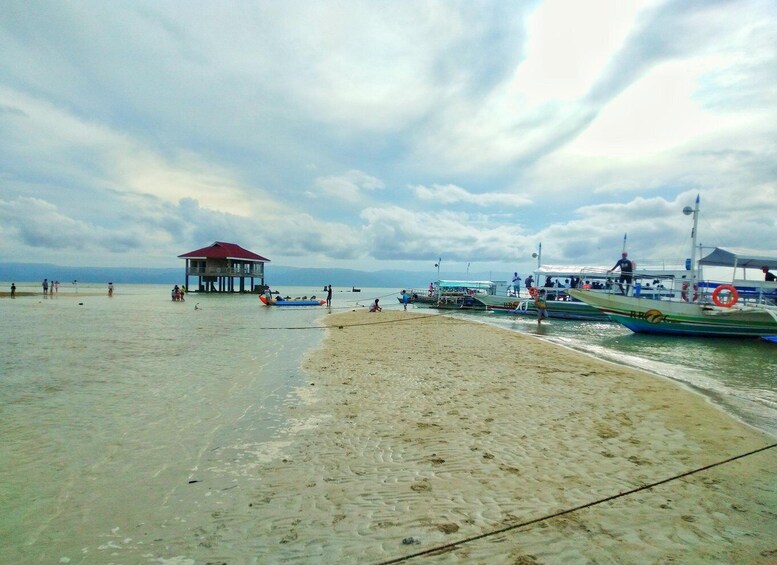 Picture 7 for Activity Dumaguete: Dolphin Watching & Manjuyod Sandbar Private Tour