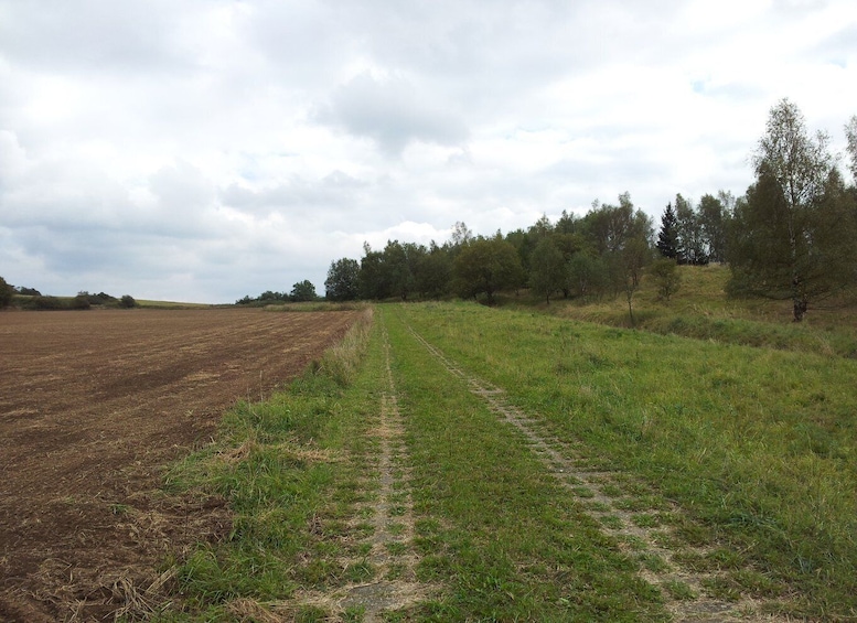 Picture 9 for Activity From Leipzig: Day Tour to the Green Belt