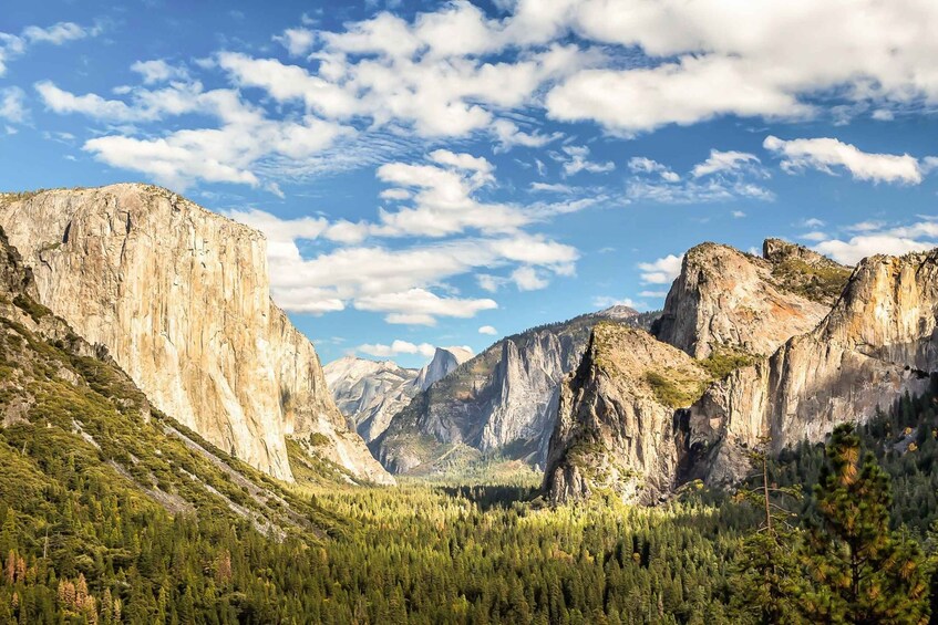 Picture 1 for Activity From San Francisco: Yosemite Private Full-Day Trip