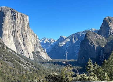 Yosemite Privat heldagstur, "Fra San Francisco"