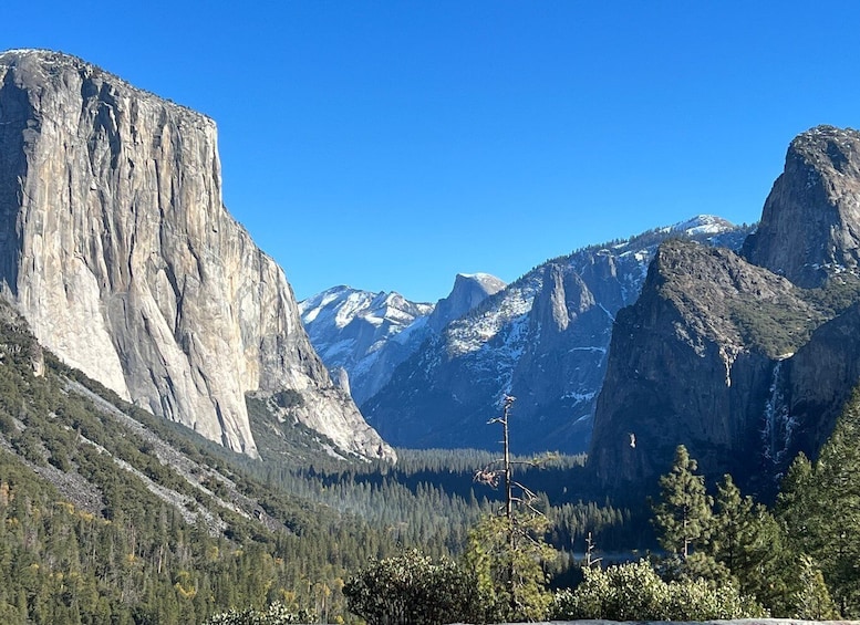 Yosemite Private Full-Day Trip, "From San Francisco"