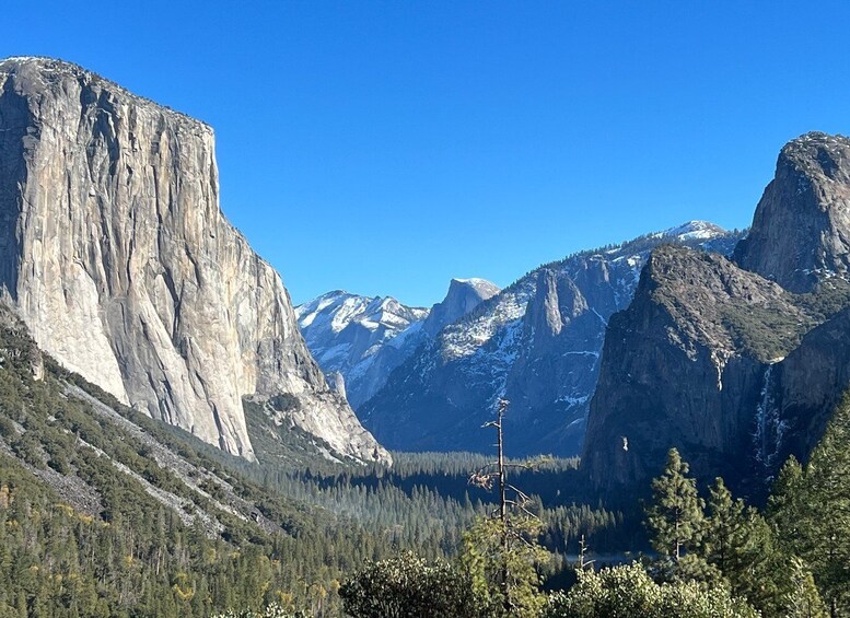 From San Francisco: Yosemite Private Full-Day Trip