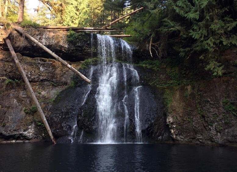 Picture 3 for Activity Portland: Silver Falls Hike