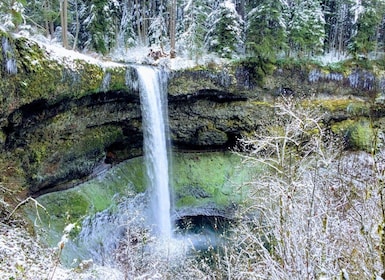 Portland: Silver Falls Wandeling en Wijntour