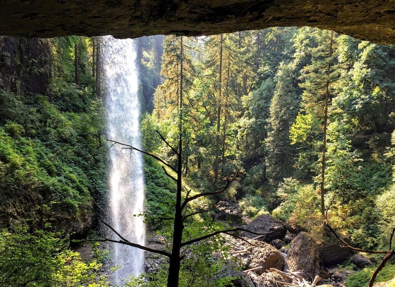 Picture 1 for Activity Portland: Silver Falls Hike