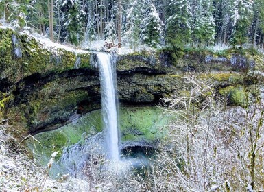 Portland: Wanderung zu den Silver Falls