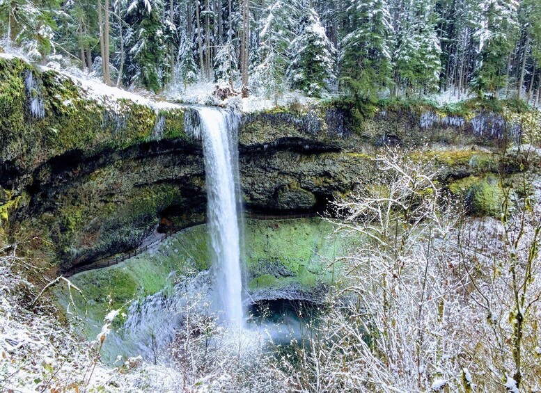 Portland: Silver Falls Hike