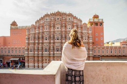 Desde Nueva Delhi: excursión privada de un día a Jaipur