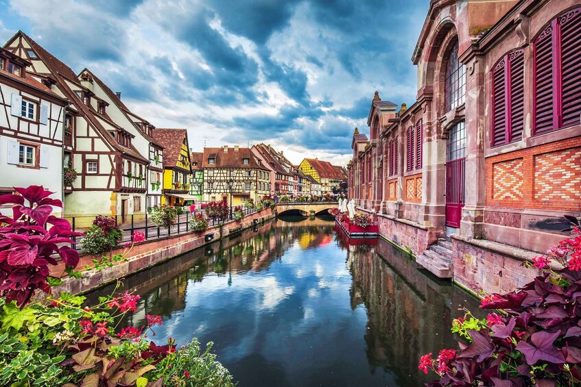 Picture 8 for Activity From Zurich: Full-Day Discover Basel & Colmar Private Tour