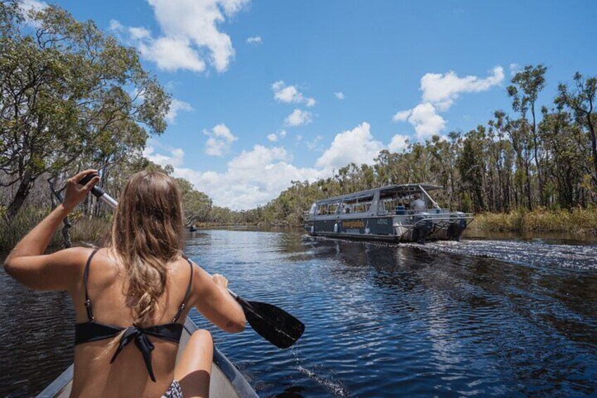 Everglades Explorer - Noosa Everglades Tour