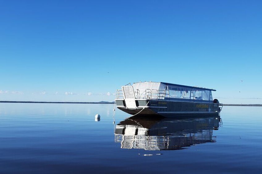 Everglades Explorer - Noosa Everglades Tour