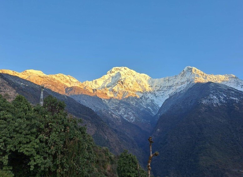 Picture 1 for Activity From Pokhara: 6 Days Annapurna Base Camp Private Trekking