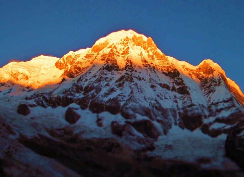 Picture 4 for Activity From Pokhara: 6 Days Annapurna Base Camp Private Trekking