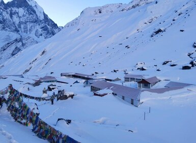 Von Pokhara: Kurzer Annapurna-Basislager-Trek, 6 Tage