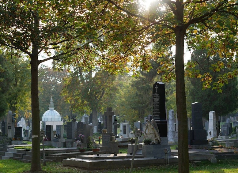 Picture 3 for Activity Vienna: Guided Walking Tour of the Central Cemetery