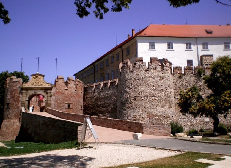 Picture 6 for Activity Day Tour of Pécs and Siklós with Villány Wine Tasting