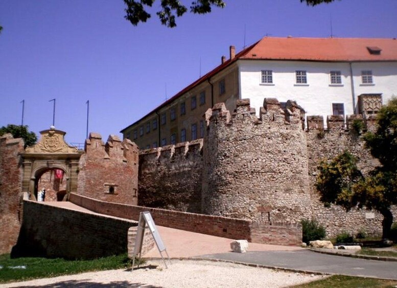 Picture 6 for Activity Day Tour of Pécs and Siklós with Villány Wine Tasting