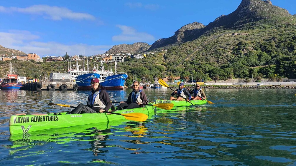 Picture 11 for Activity Cape Town: Guided Kayaking in Hout Bay