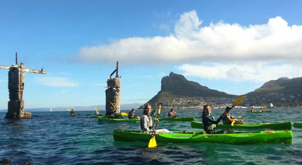 Picture 10 for Activity Cape Town: Guided Kayaking in Hout Bay