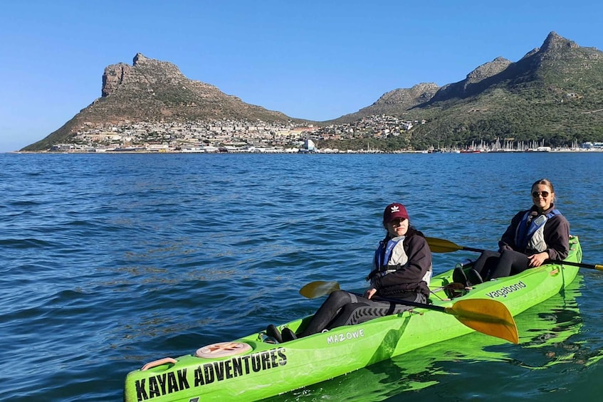Picture 8 for Activity Cape Town: Guided Kayaking in Hout Bay