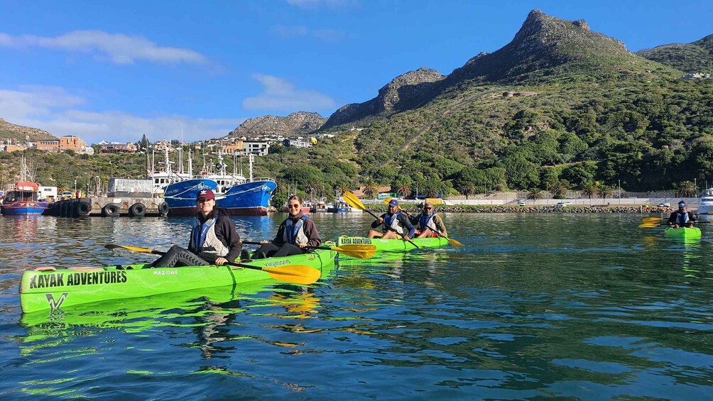 Picture 11 for Activity Cape Town: Guided Kayaking in Hout Bay