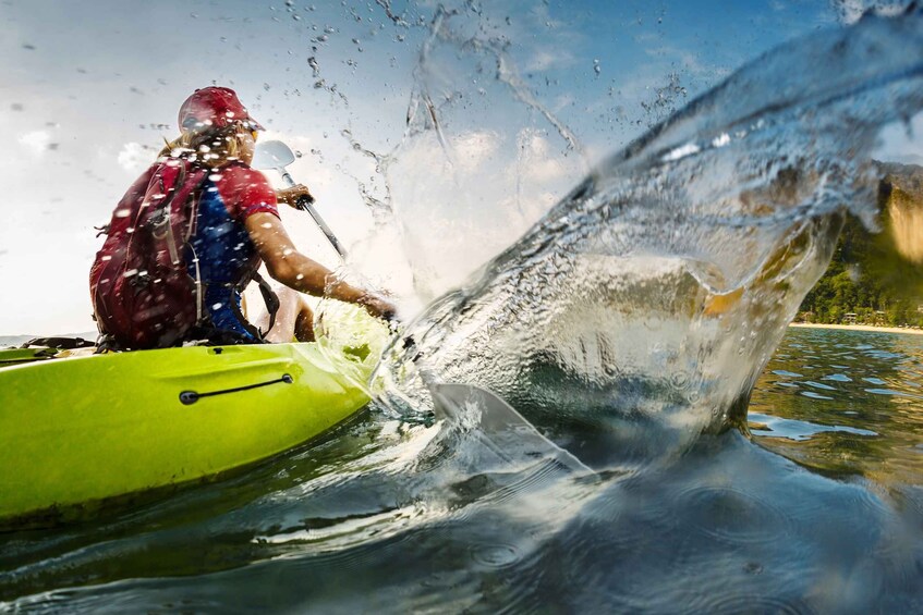 Cape Town: Guided Kayaking in Hout Bay