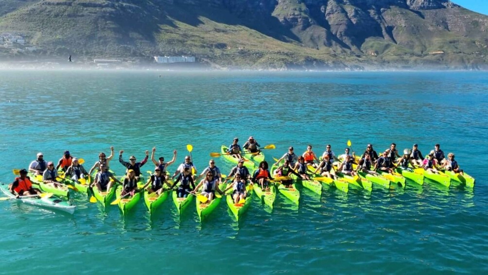 Picture 9 for Activity Cape Town: Guided Kayaking in Hout Bay