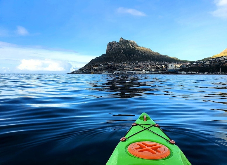 Picture 6 for Activity Cape Town: Guided Kayaking in Hout Bay