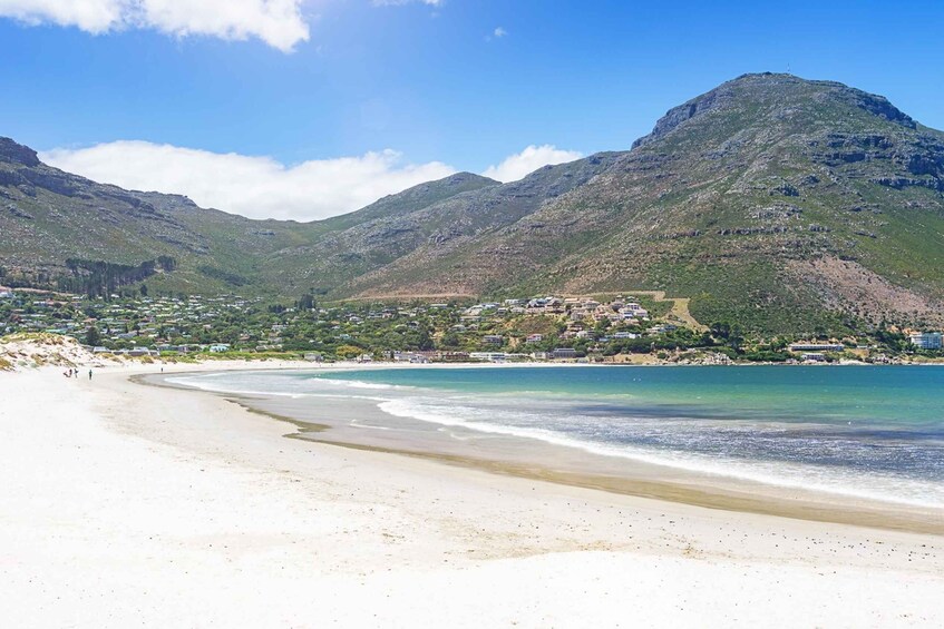 Picture 4 for Activity Cape Town: Guided Kayaking in Hout Bay