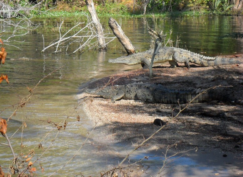 Picture 2 for Activity Barahona: Lake Enriquillo Discovery Tour