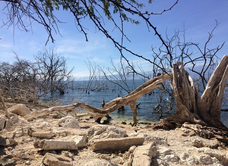 Picture 4 for Activity Barahona: Lake Enriquillo Discovery Tour