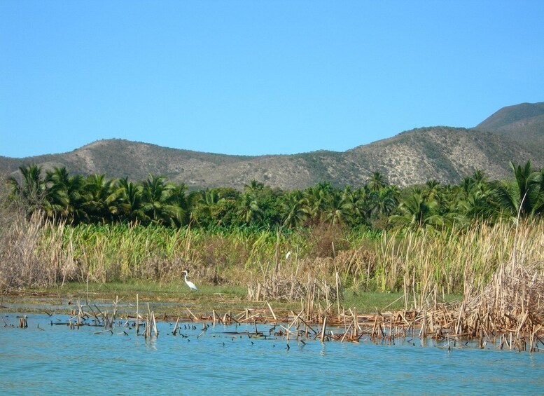 Picture 7 for Activity Barahona: Lake Enriquillo Discovery Tour