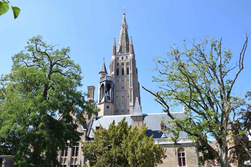 Picture 2 for Activity From Brussels: Bruges Private Tour