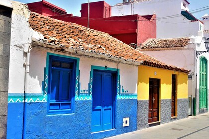 Ténériffe : excursion à Puerto de la Cruz