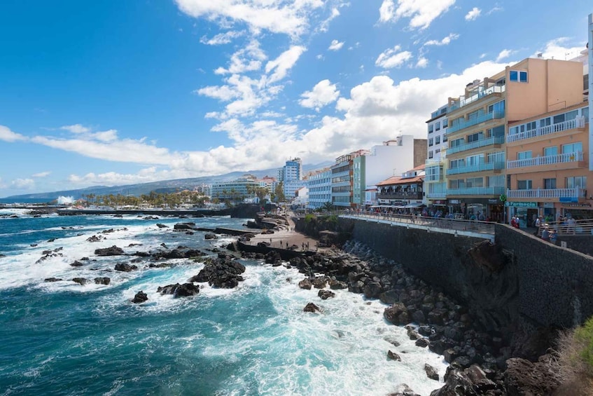 Picture 2 for Activity Tenerife: Trip to Puerto de la Cruz