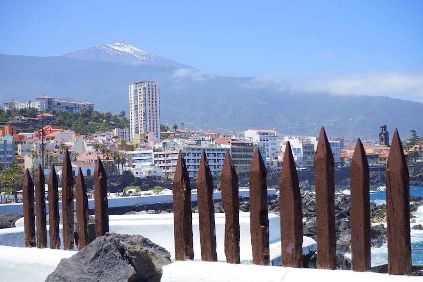 Picture 1 for Activity Tenerife: Trip to Puerto de la Cruz