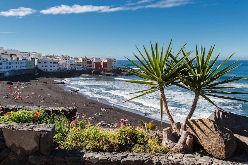 Picture 7 for Activity Tenerife: Trip to Puerto de la Cruz