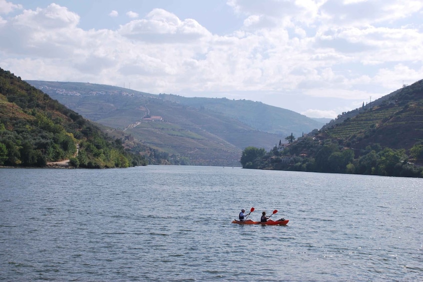 Picture 2 for Activity Pinhão: Douro Valley Rabelo Boat Tour and Kayak Experience