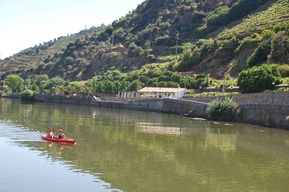 Pinhão: Tour en barco Rabelo por el valle del Duero y experiencia en kayak