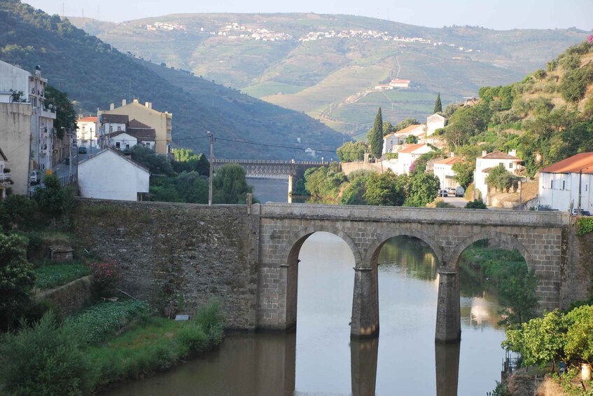 Picture 3 for Activity Pinhão: Douro Valley Rabelo Boat Tour and Kayak Experience