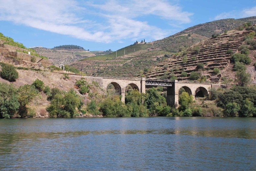 Picture 4 for Activity Pinhão: Douro Valley Rabelo Boat Tour and Kayak Experience