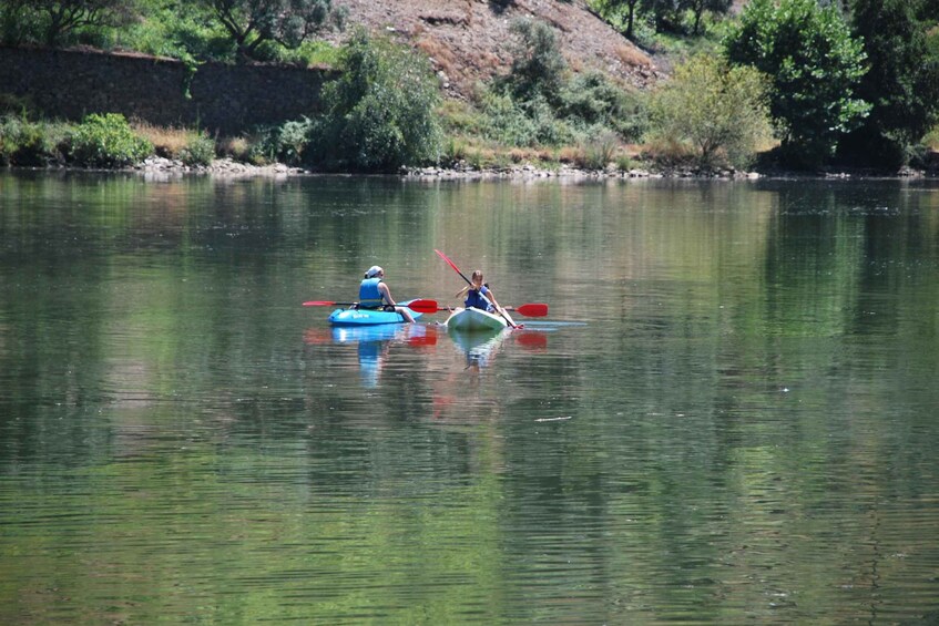 Picture 1 for Activity Pinhão: Douro Valley Rabelo Boat Tour and Kayak Experience